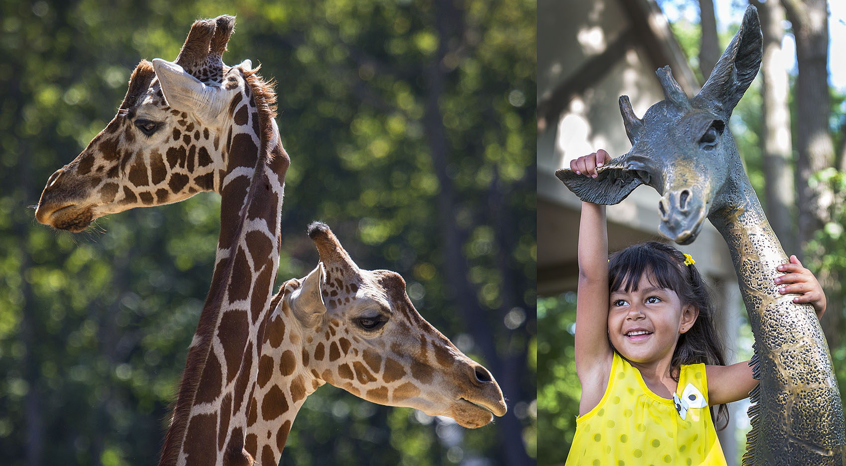 UNMC Ortho patient enjoys day at Omaha Zoo by Scott Dobry Pictures photographer in Omaha, Nebraska